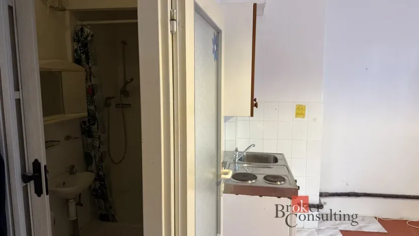 Pronájem bytu 1+kk, Praha - Střešovice, Farní, 19 m2