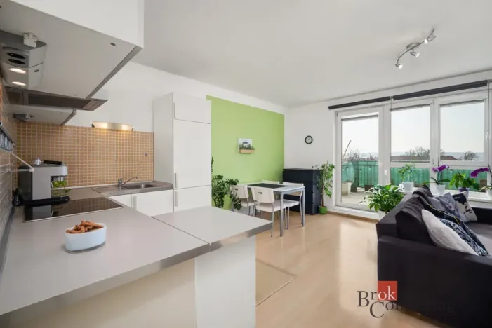 Prodej bytu 1+kk, Praha - Michle, Novobohdalecká, 42 m2