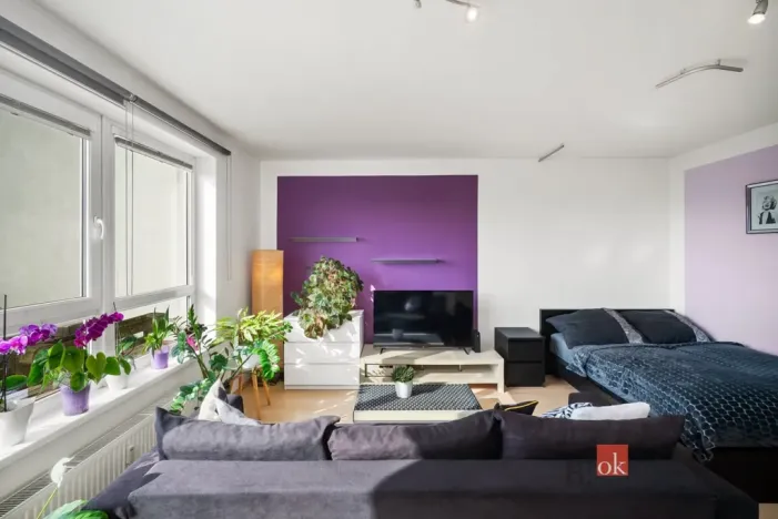 Prodej bytu 1+kk, Praha - Michle, Novobohdalecká, 42 m2