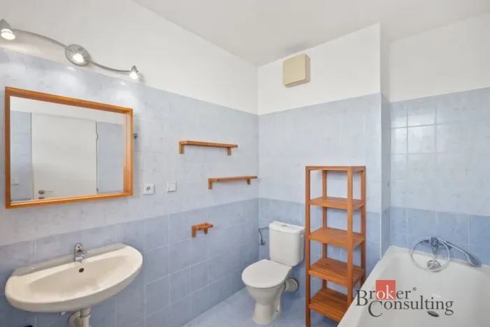 Prodej bytu 1+kk, Praha - Michle, Novobohdalecká, 42 m2