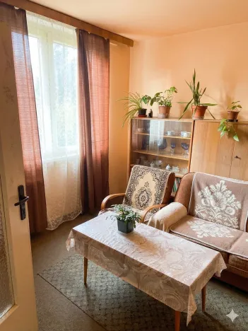 Prodej bytu 3+1, Olomouc - Nová Ulice, Brněnská, 59 m2