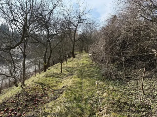 Prodej zahrady, Vsetín, Hrbová, 905 m2