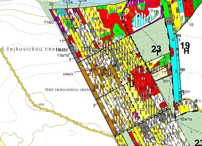 Dražba lesa, Břehov, 19879 m2