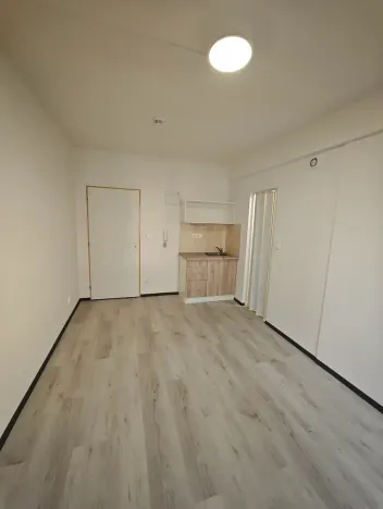 Pronájem bytu 1+kk, Praha - Hlubočepy, Na Zlíchově, 20 m2