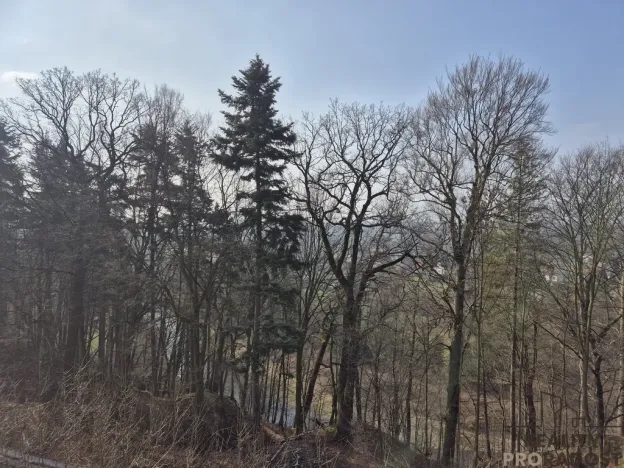 Pronájem bytu 4+1, Třinec, Sosnová, 94 m2