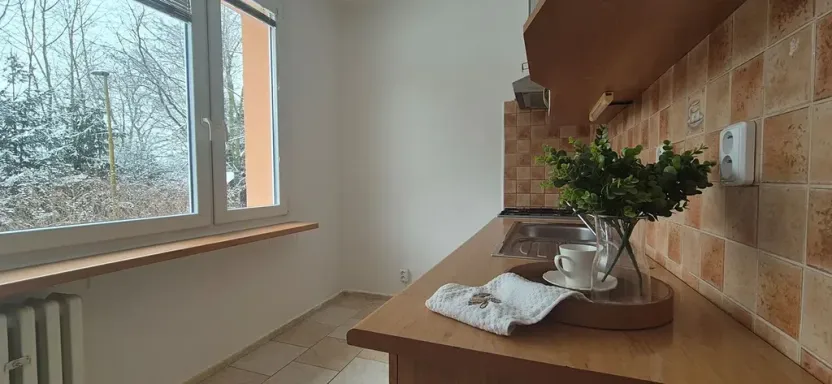 Prodej bytu 1+1, Turnov, Přepeřská, 35 m2