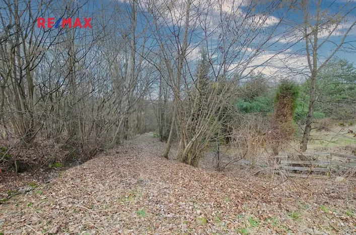 Prodej zahrady, Havířov, 1256 m2