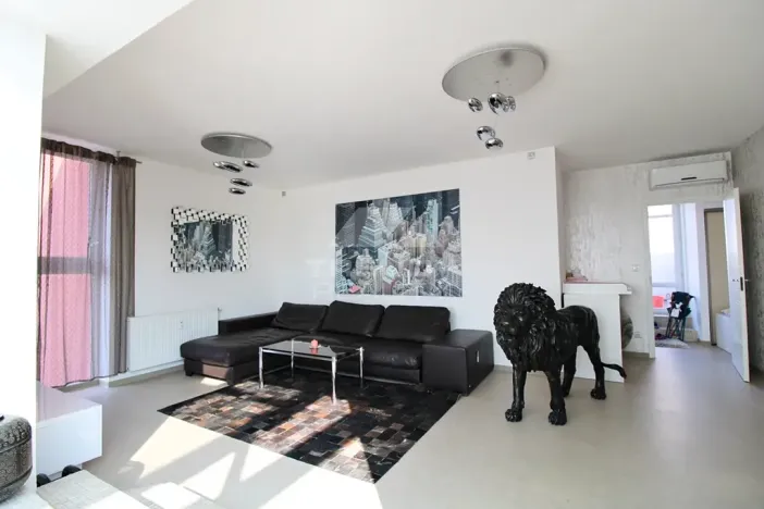 Pronájem bytu 3+kk, Plzeň, Goldscheiderova, 250 m2