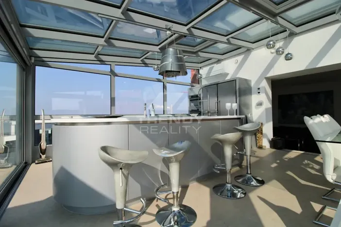 Pronájem bytu 3+kk, Plzeň, Goldscheiderova, 250 m2