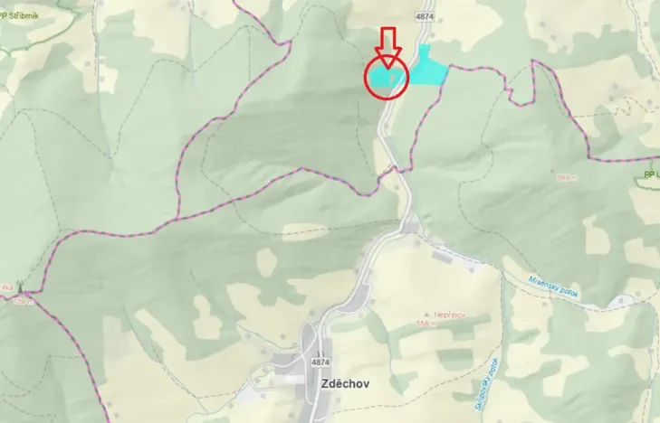 Prodej lesa, Huslenky, 16650 m2