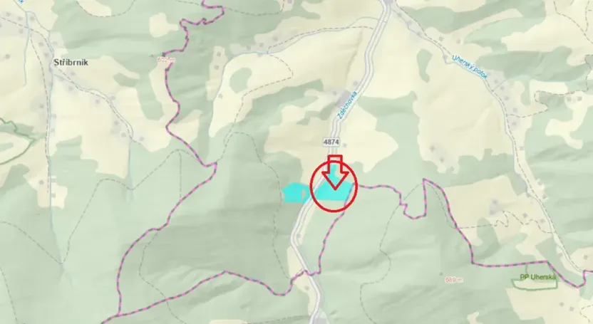 Prodej lesa, Huslenky, 29988 m2