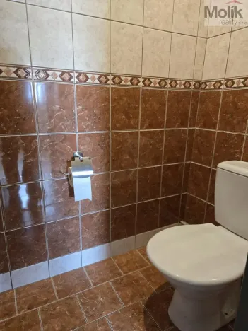 Pronájem bytu 3+1, Lom, nám. Republiky, 103 m2