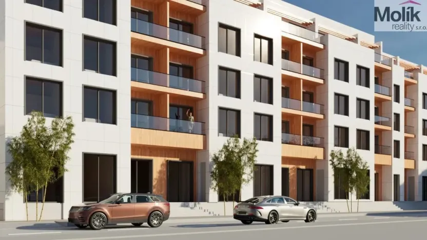 Prodej bytu 2+kk, Golem, 64 m2