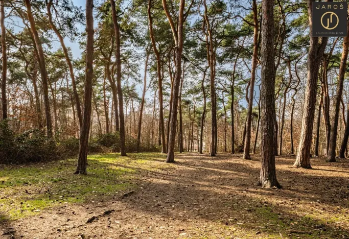 Prodej bytu 2+1, Plzeň - Doubravka, Ke Špitálskému lesu, 58 m2
