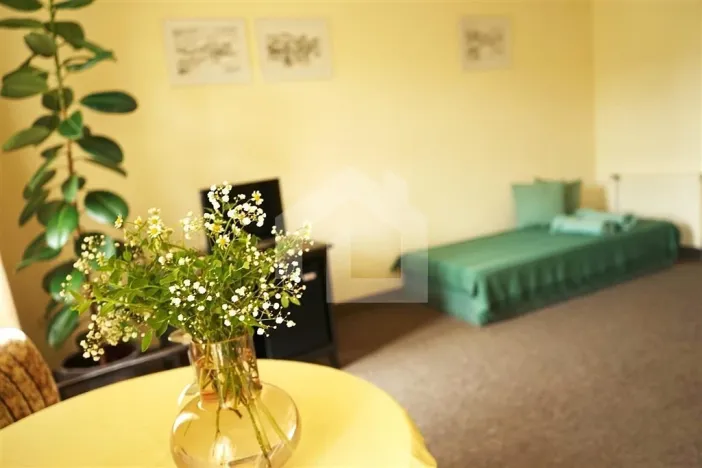 Prodej rodinného domu, Jindřichův Hradec - Jindřichův Hradec I, Balbínovo nám., 600 m2