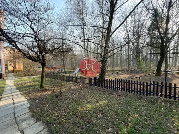 Prodej bytu 2+1, Ostrava, Patrice Lumumby, 53 m2