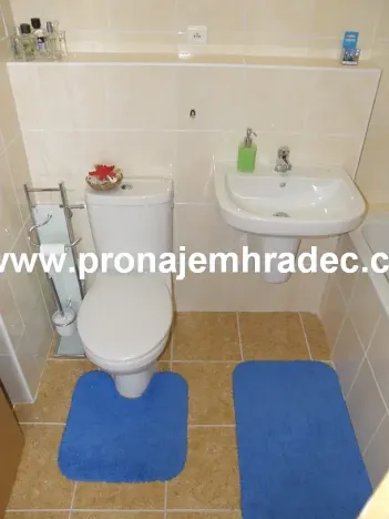 Pronájem bytu 2+kk, Hradec Králové, Kollárova, 55 m2