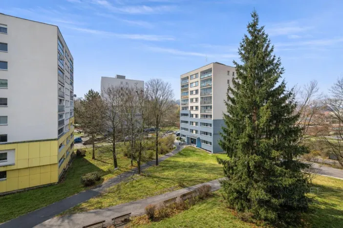 Pronájem bytu 3+kk, Praha - Žižkov, Buková, 53 m2