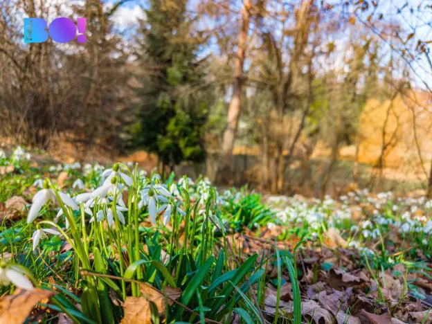 Prodej pozemku pro bydlení, Sedlnice, 970 m2