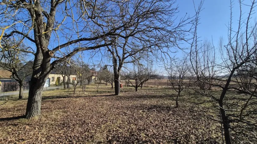 Prodej zahrady, Ptení, 967 m2