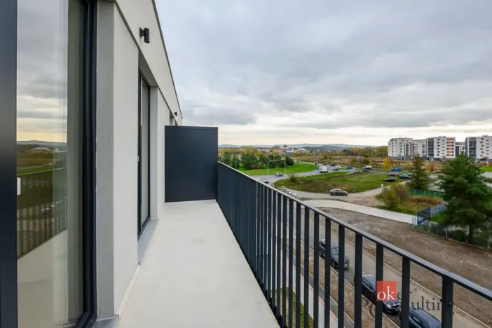 Pronájem bytu 2+kk, Plzeň - Jižní Předměstí, Železná, 73 m2