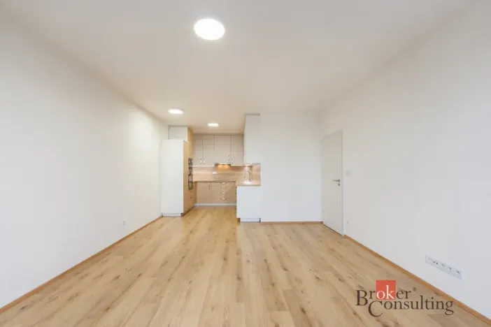 Pronájem bytu 2+kk, Plzeň - Jižní Předměstí, Železná, 73 m2