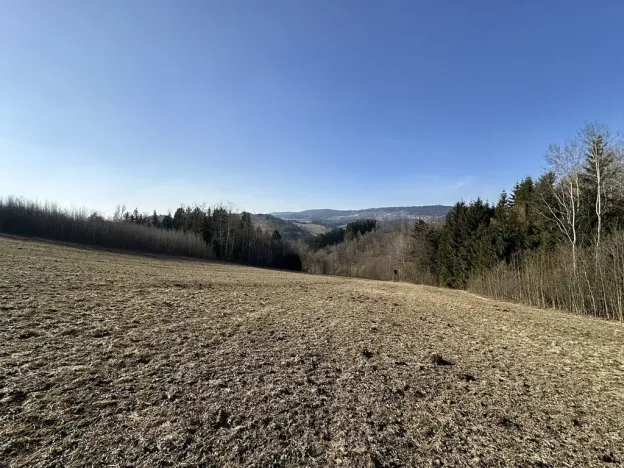 Prodej lesa, Plavy, 32050 m2