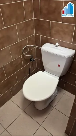 Prodej komerční nemovitosti, Kralovice, Markova tř., 600 m2