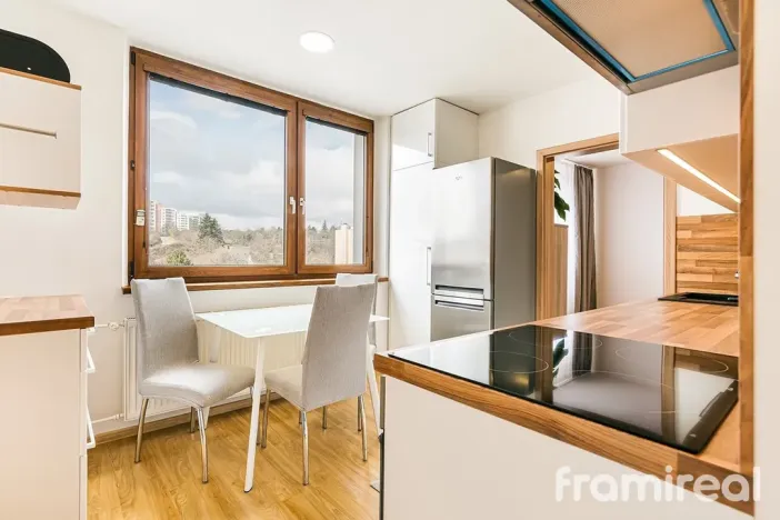 Pronájem bytu 3+1, Brno, Kamínky, 73 m2