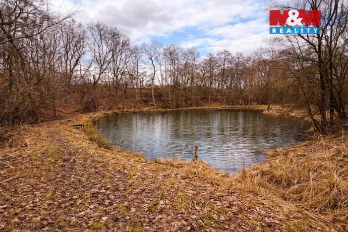 Prodej rybníku, Křečovice - Vlkonice, 68525 m2