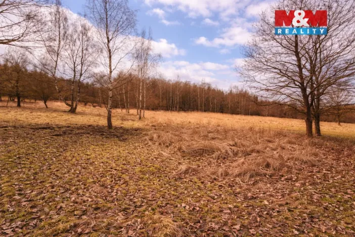 Prodej rybníku, Křečovice - Vlkonice, 68525 m2