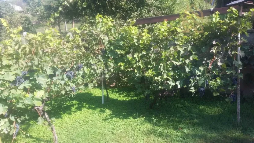 Prodej rodinného domu, Velké Žernoseky, 235 m2