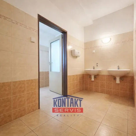 Pronájem kanceláře, České Budějovice, Rudolfovská tř., 225 m2