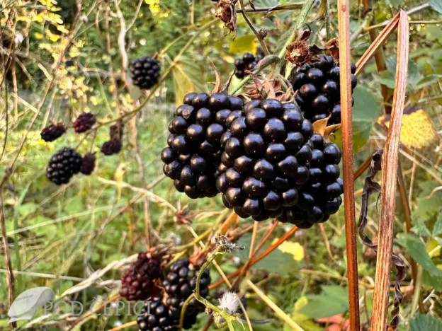 Prodej chaty, Lysice, 70 m2