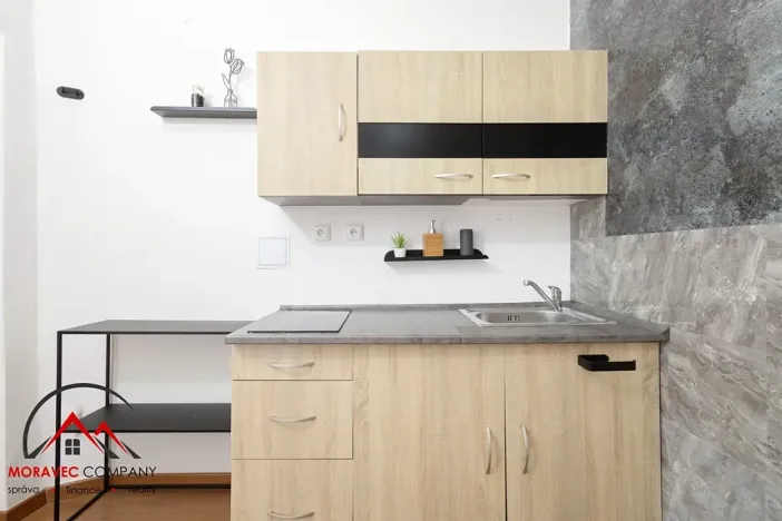 Pronájem bytu 1+1, Ostrava, Mariánskohorská, 41 m2