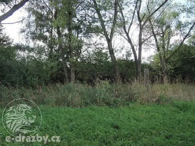 Dražba pozemku, Čisovice, 11062 m2