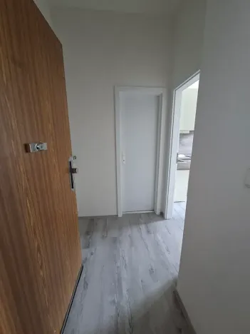 Pronájem bytu 1+kk, Praha - Žižkov, Krásova, 14 m2