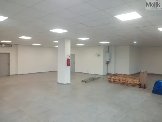 Pronájem obchodního prostoru, Louny, Husova, 172 m2