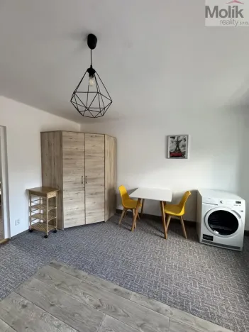 Pronájem bytu 2+kk, Litvínov - Horní Litvínov, Ladova, 45 m2