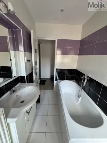 Pronájem bytu 2+kk, Litvínov - Horní Litvínov, Ladova, 45 m2