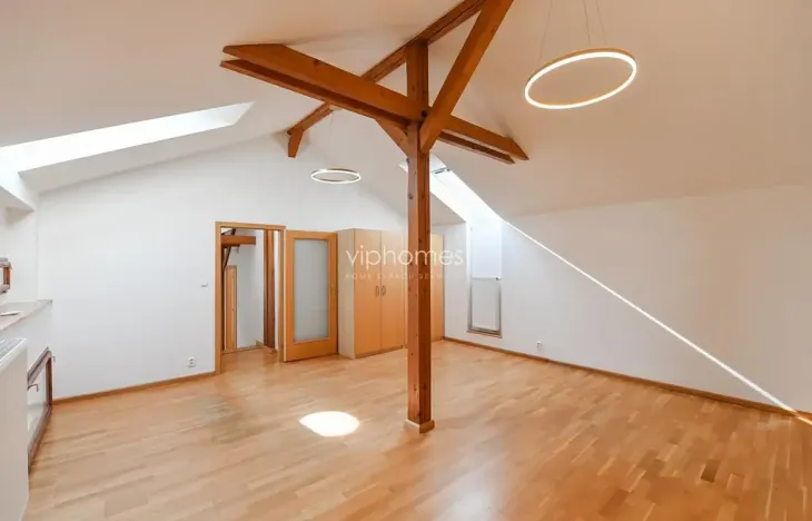 Pronájem bytu 4+kk, Praha - Vinohrady, Havlíčkovy sady, 172 m2