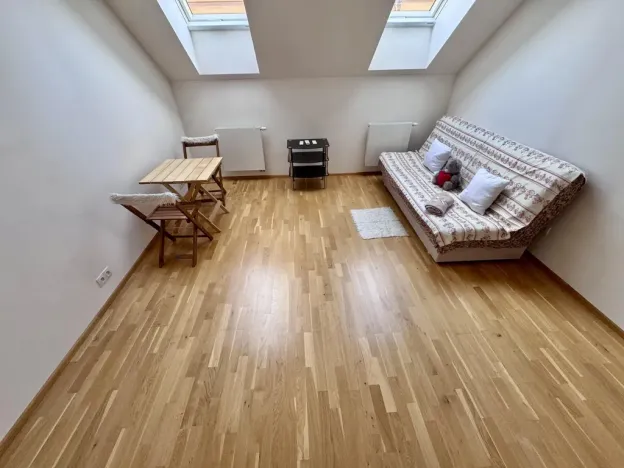 Pronájem bytu 1+kk, Praha - Nové Město, Tyršova, 24 m2