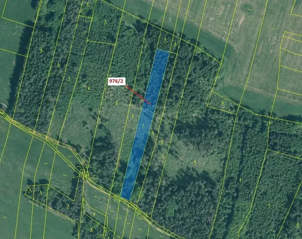 Dražba lesa, Záhoří, 5170 m2