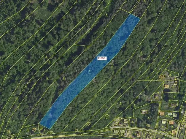 Dražba lesa, Stříbrná Skalice, 10096 m2