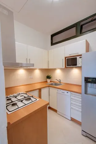 Prodej bytu 2+1, Brno, Rybářská, 72 m2