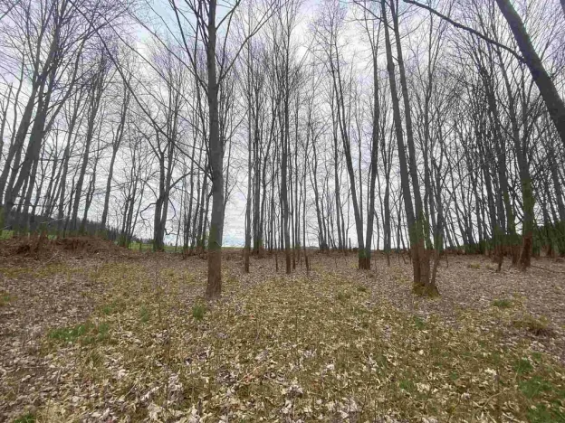 Prodej pozemku, Žinkovy, 4837 m2