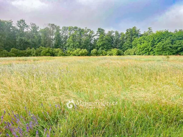 Prodej pole, Kyjovice, 19093 m2