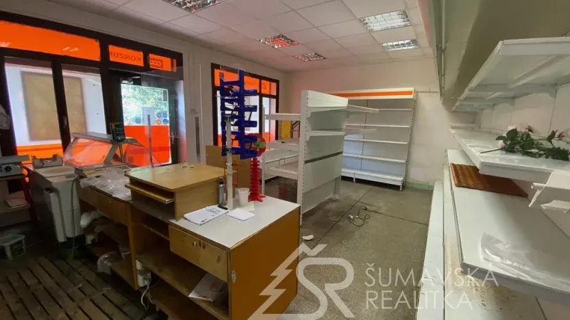 Prodej obchodního prostoru, Zborovy, 233 m2