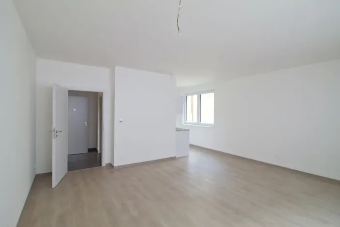 Pronájem bytu 1+kk, Plzeň - Jižní Předměstí, Na Jíkalce, 42 m2