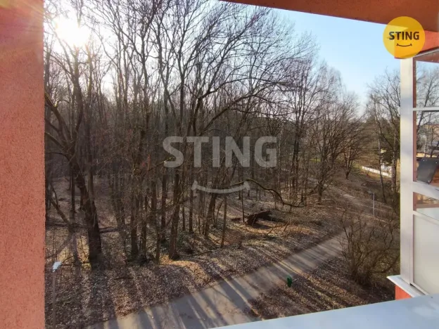 Pronájem bytu 2+kk, Ostrava, Lužická, 38 m2